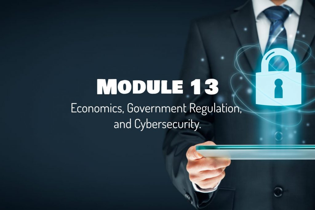 Economics Government Regulation and Cybersecurity.