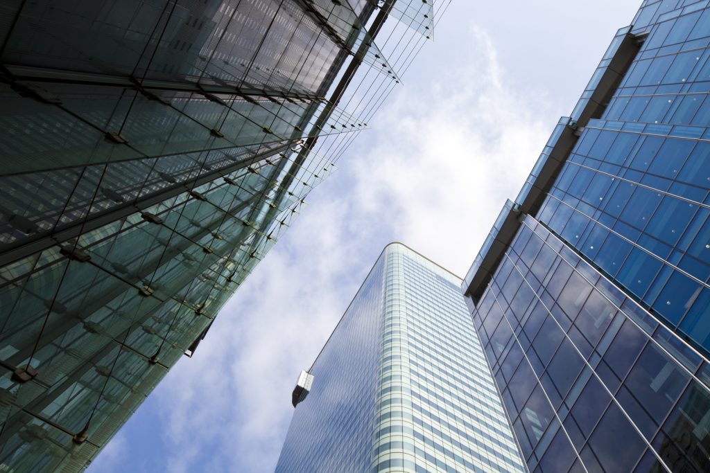 Acer skyscrapers from below